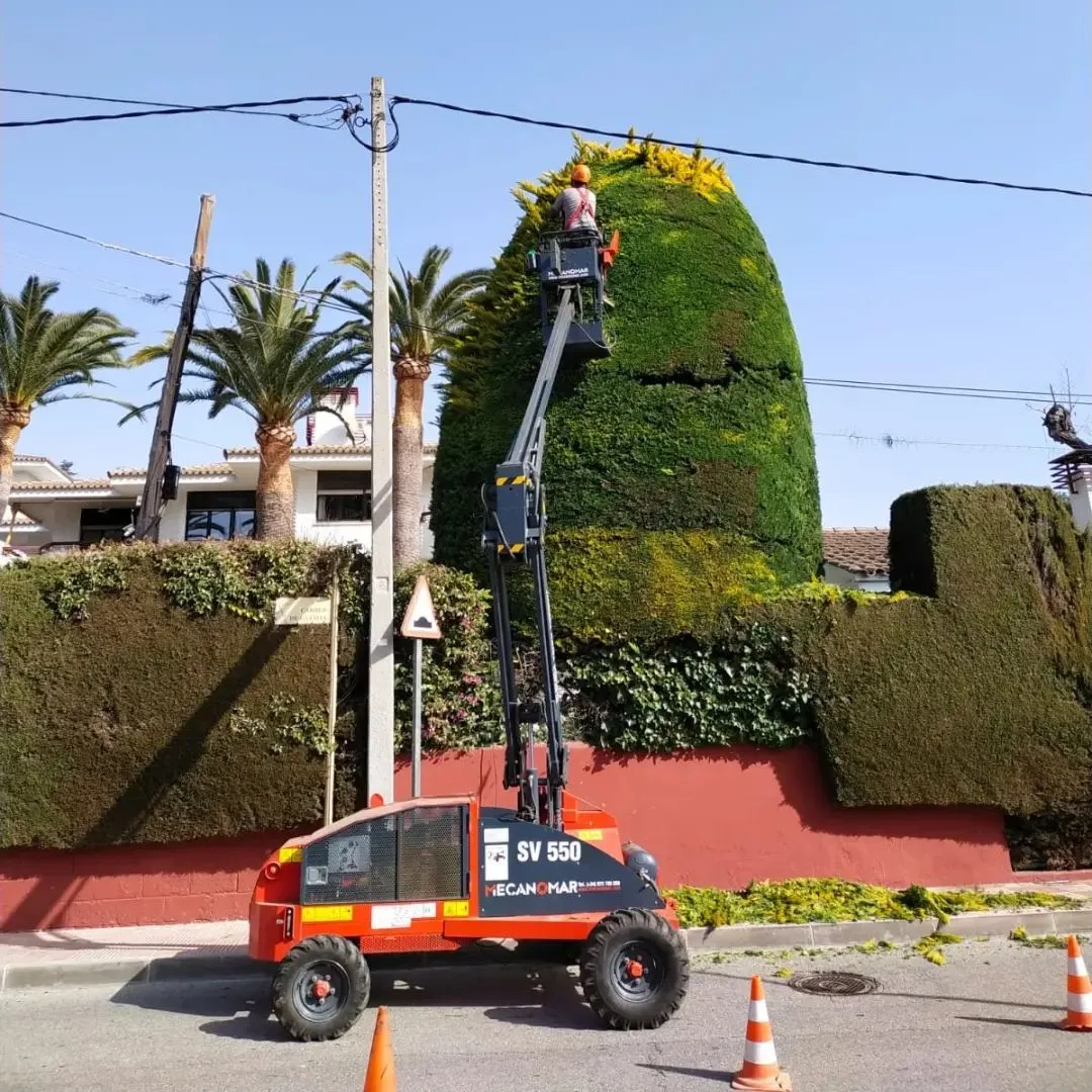 Mantenimiento de jardines en Tarragona Mantenimiento de jardines en Tarragona