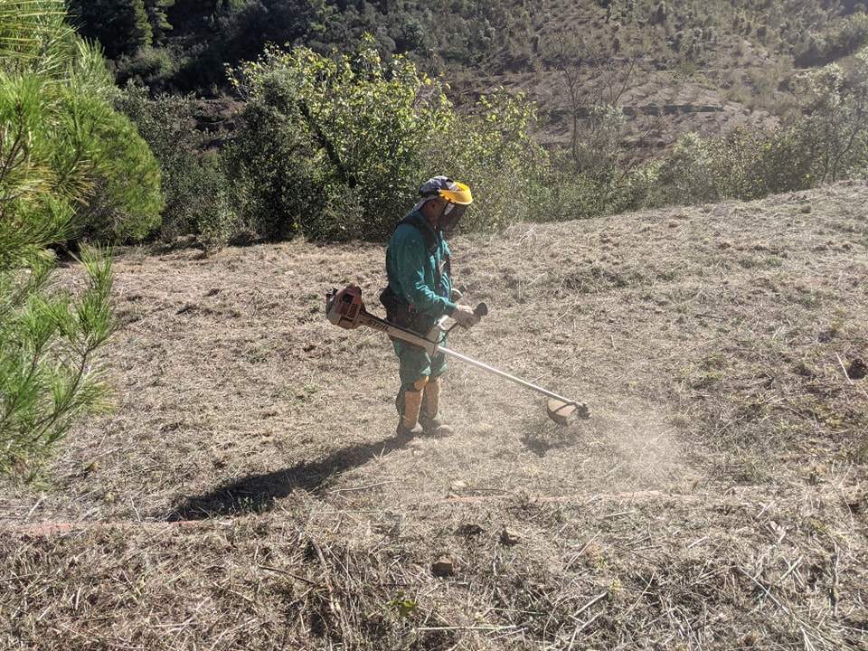Importancia del desbroce de terrenos y solares en Tarragona