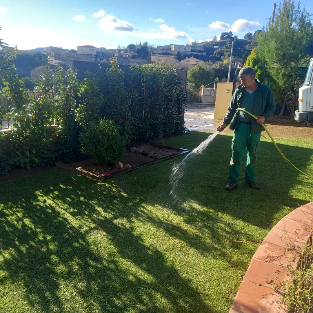 Mantenimiento de jardines en La Pineda