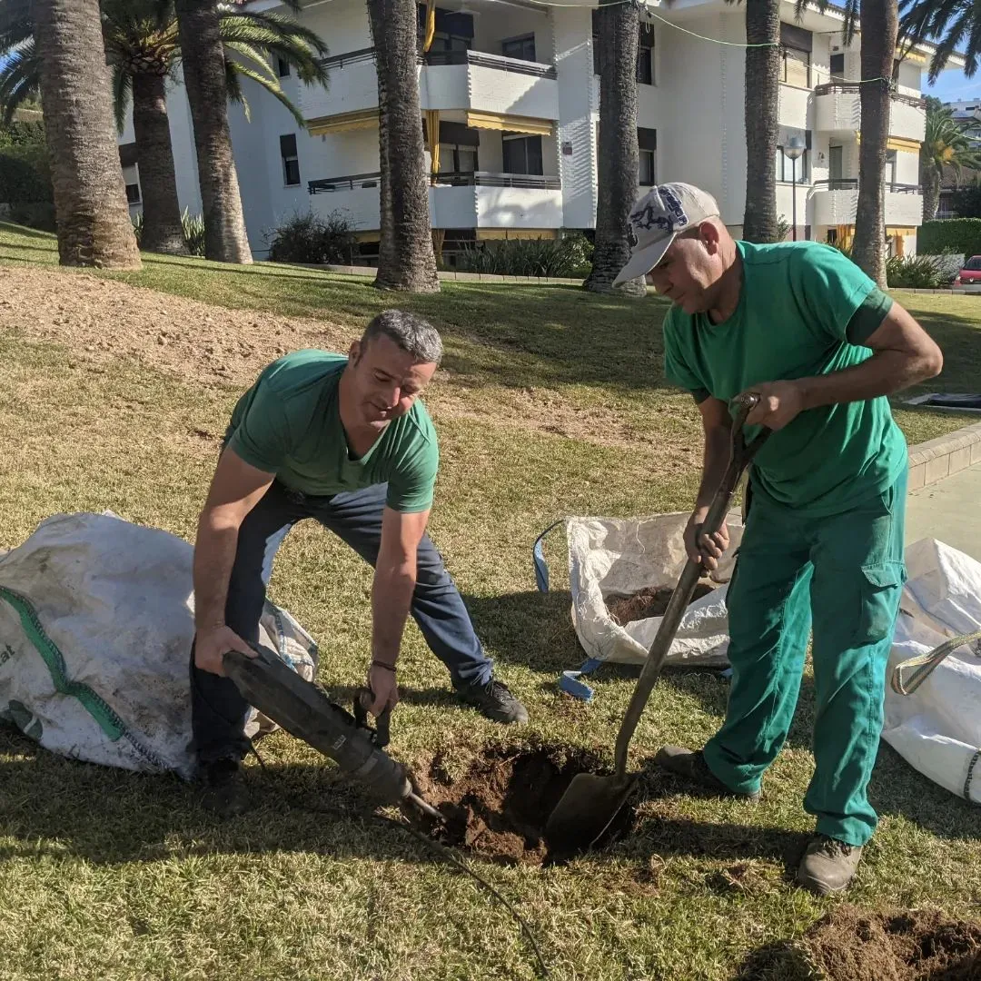 mantenimiento jardines La Pineda