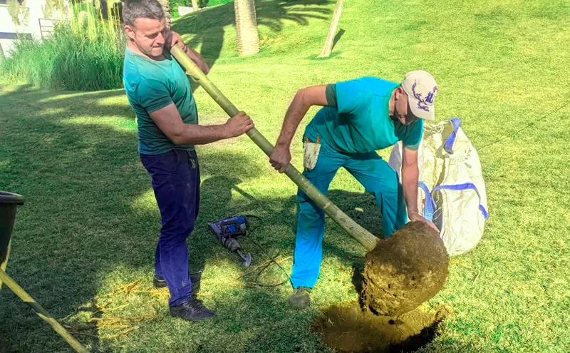 Servicios de Jardinería en Cambrils: Diseño y Mantenimiento de Jardines